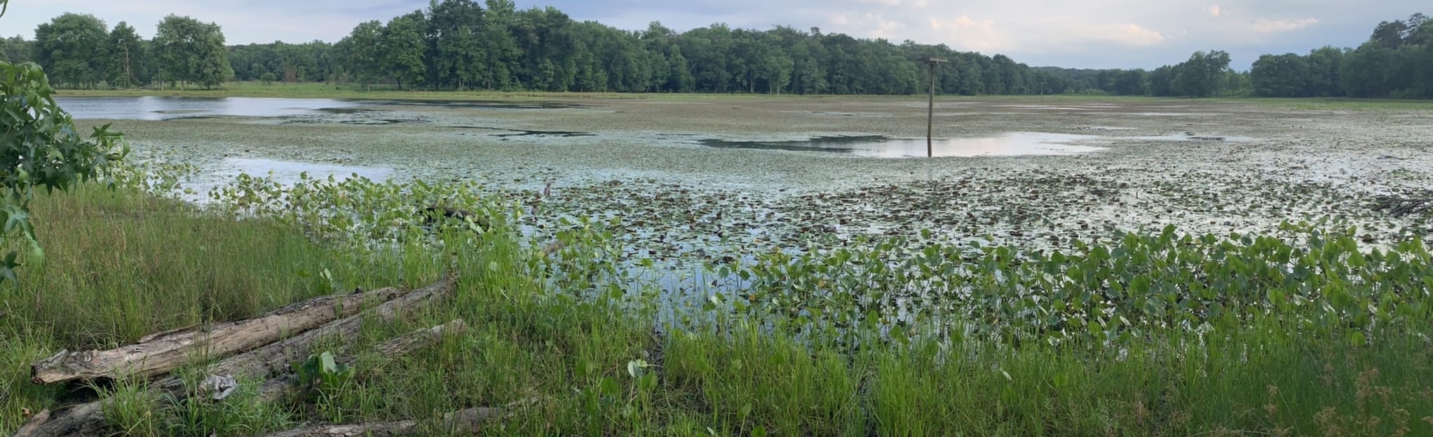 Patuxent Wildlife Refuge Loop Trail: 508 Reviews, Map - Maryland ...