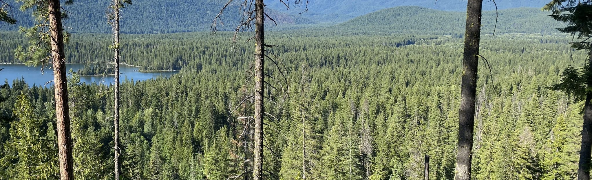 Nason Ridge Snowshoe Route via Lake Wenatchee, Washington 160 Reviews