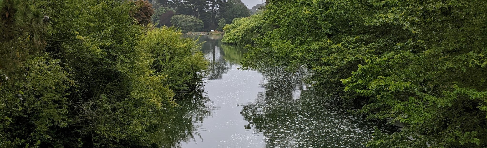 Hippie Hill, Conservatory of Flowers, and Stow Lake Loop California