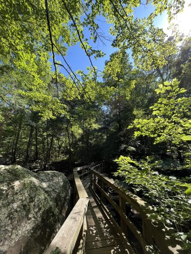 petit jean trails