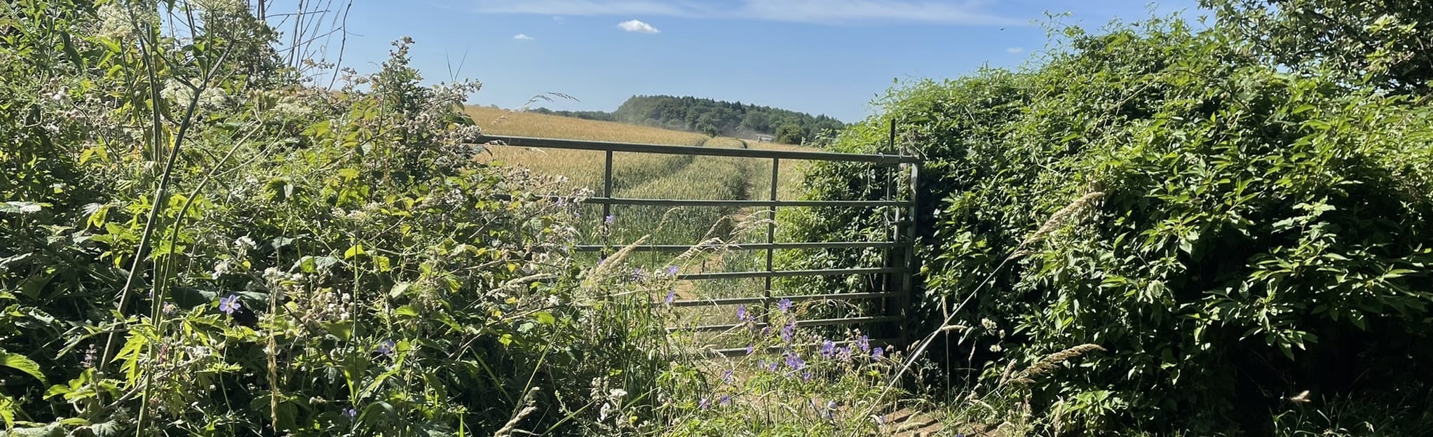 Birdlip and Circular, Gloucestershire, England 54 Reviews