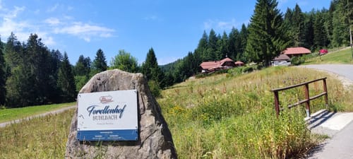 Buhlbach Rundwanderung