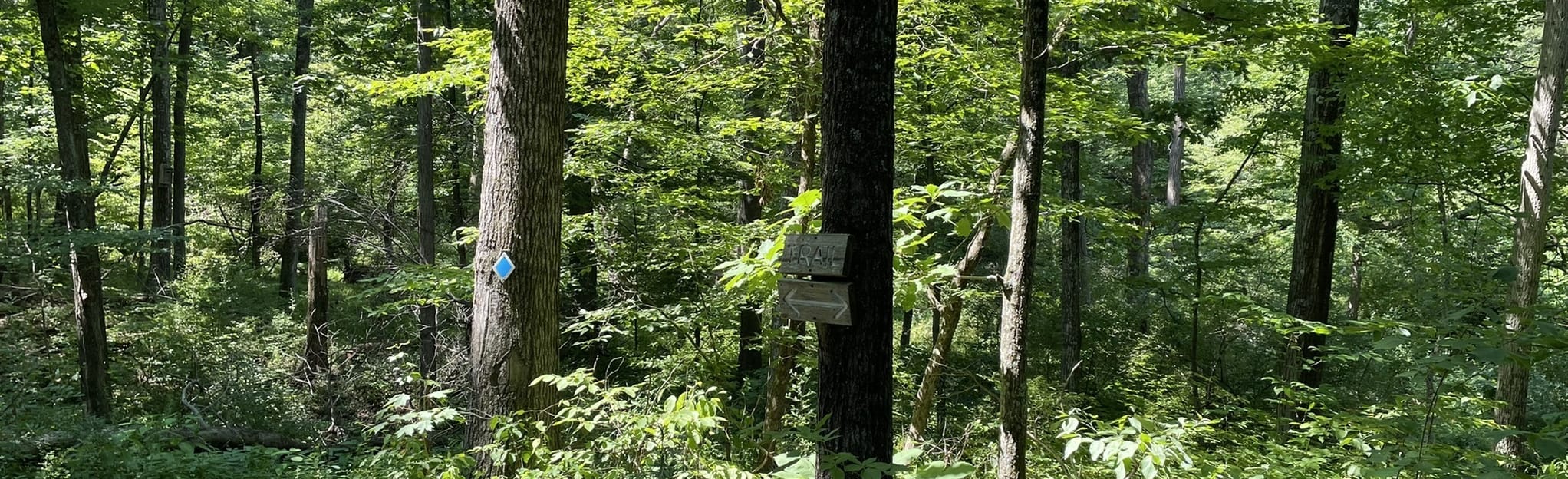 Horseshoe Bend Blue Trail Loop 43 Reviews, Map New Jersey AllTrails