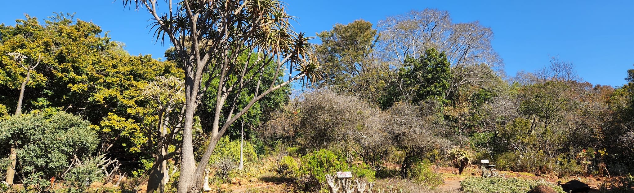 Pretoria National Botanical Gardens, Gauteng, South Africa 60 Reviews