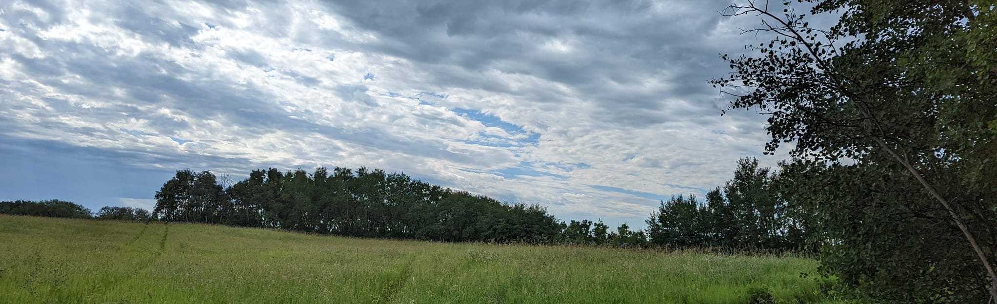 Esterhazy Trail, Saskatchewan, Canada 38 Reviews, Map AllTrails