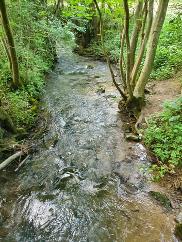 Aurich: Großglattbach - Kreuzbach