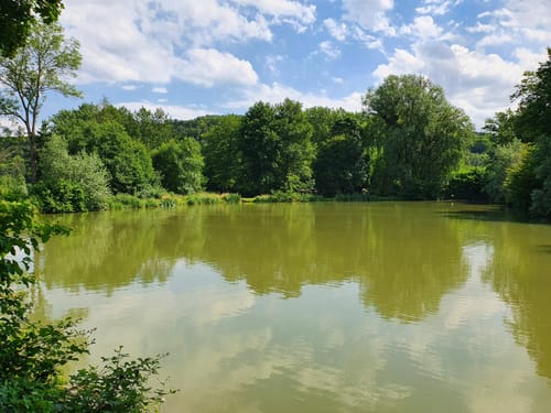 Aurich: Großglattbach - Kreuzbach
