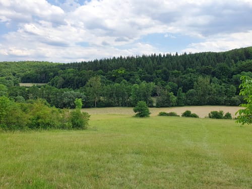 Aurich: Großglattbach - Kreuzbach