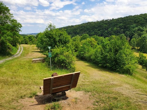 Aurich: Großglattbach - Kreuzbach