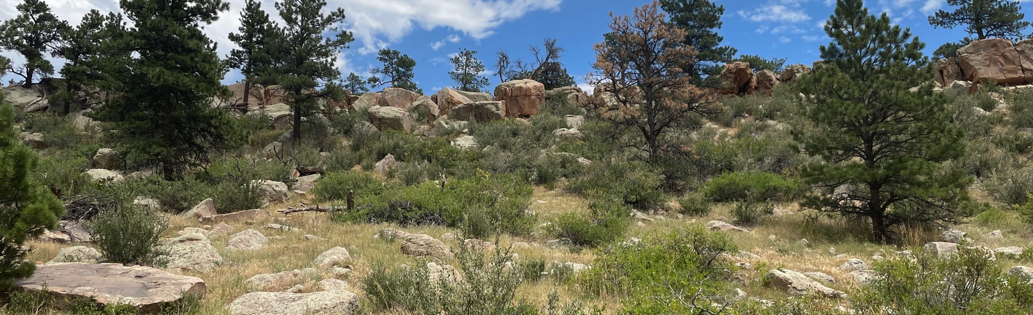 Piano Boulders Climbing Area 29 Reviews, Map Colorado AllTrails