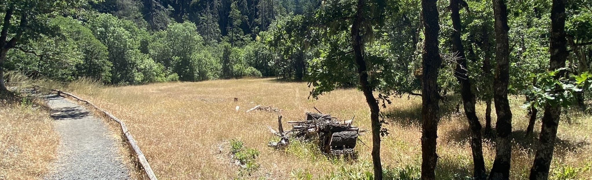 Waters Creek Interpretive Trail 283 foto's Oregon AllTrails