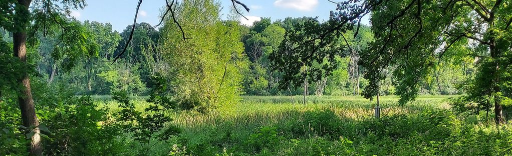 are dogs allowed at nature preserves in illinois