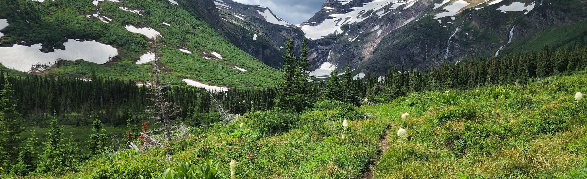 Gunsight Pass Trail, Montana 204 Reviews, Map AllTrails