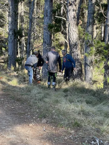 Beste Wandelingen En Routes In South West Woodland Nature Reserve