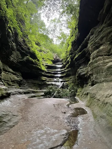 Best 10 Hikes And Trails In Starved Rock State Park | Alltrails