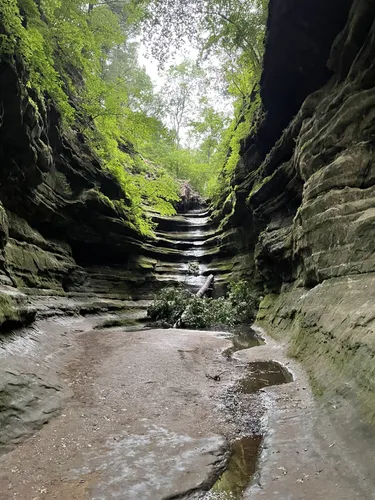 Starved rock 2024 state park hiking