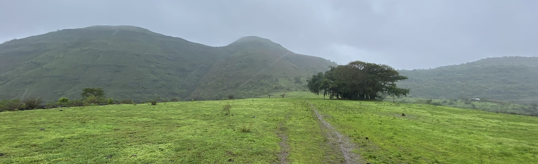 Dhayari Katraj Ghat via Swaminarayan Temple Loop Maharashtra, India