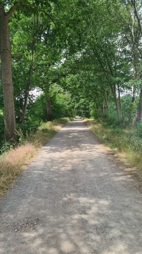 Dino-Tour A: Meßwarb-Tour