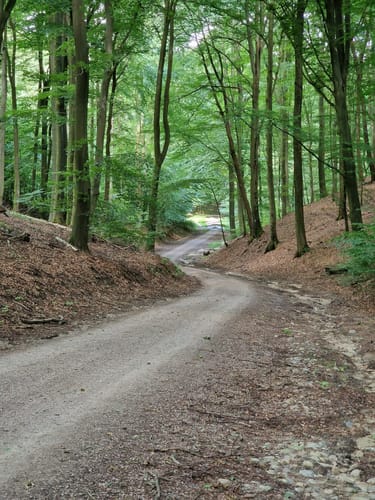 Durch die Schwarzen Berge zum Harburger Rathaus