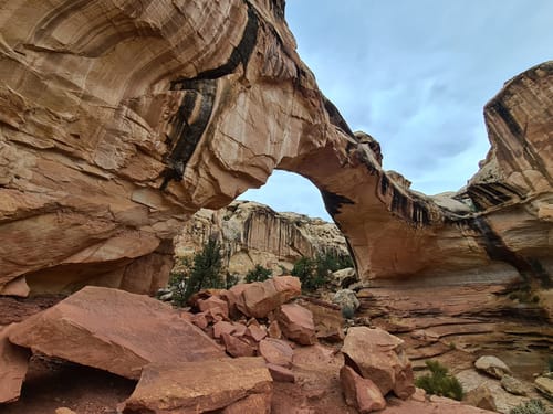 10 Best hikes and trails in Capitol Reef National Park AllTrails