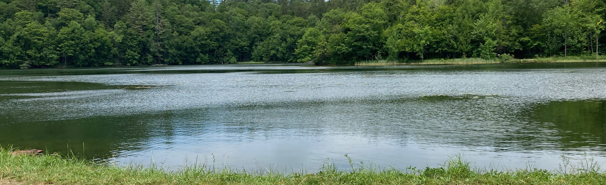 The Pogue and Mount Tom from Prosper Road Vermont AllTrails