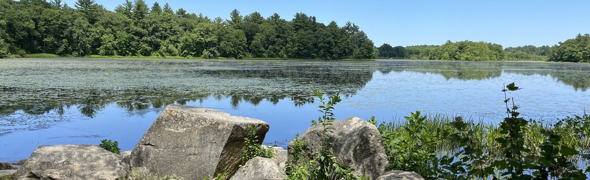 Leach Pond Edge Trail and Tisdale Road Loop, Massachusetts - 218 ...