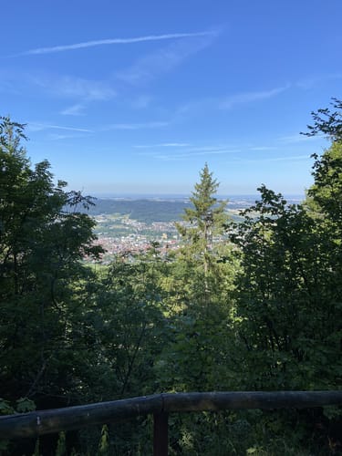 Klippeneck-Steig (Premiumwanderweg)