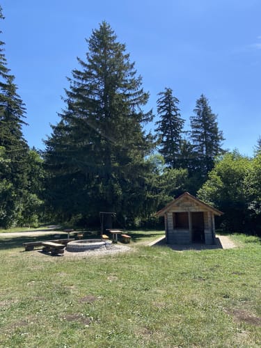 Klippeneck-Steig (Premiumwanderweg)