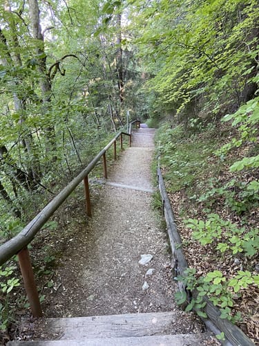Klippeneck-Steig (Premiumwanderweg)