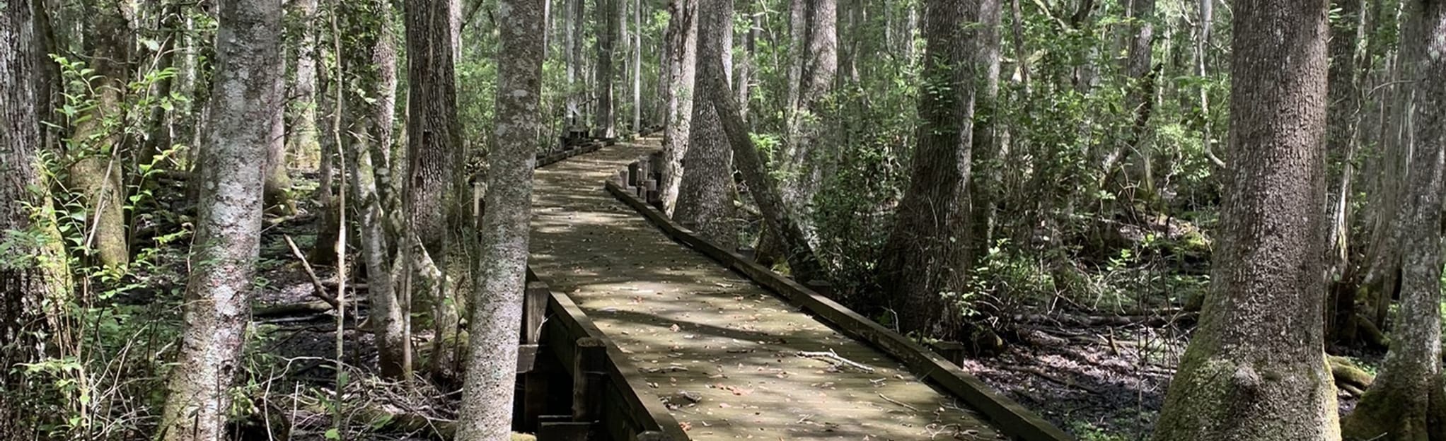 Fanny Bay Boardwalk Interpretive Trail Florida AllTrails