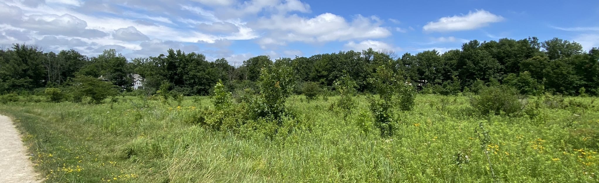 Des Plaines River Trail Gurnee to Old School Forest 186 Reviews, Map