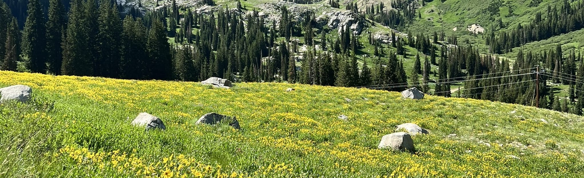 Little Cottonwood Canyon Road 824 Reviews, Map Utah AllTrails