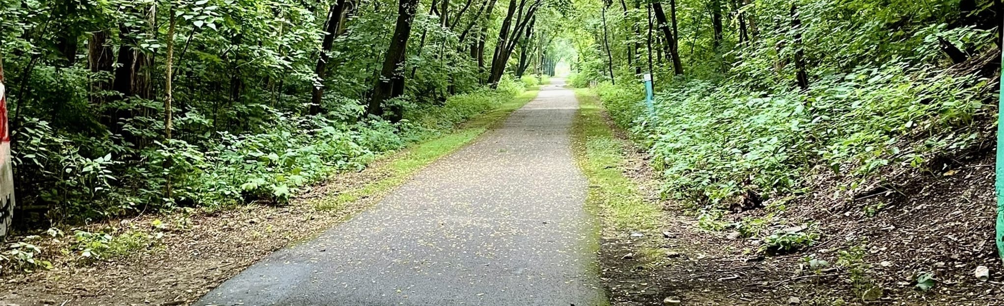 Old Plank Road Trail Washington Street to Cedar Road, Illinois 80 Reviews, Map AllTrails