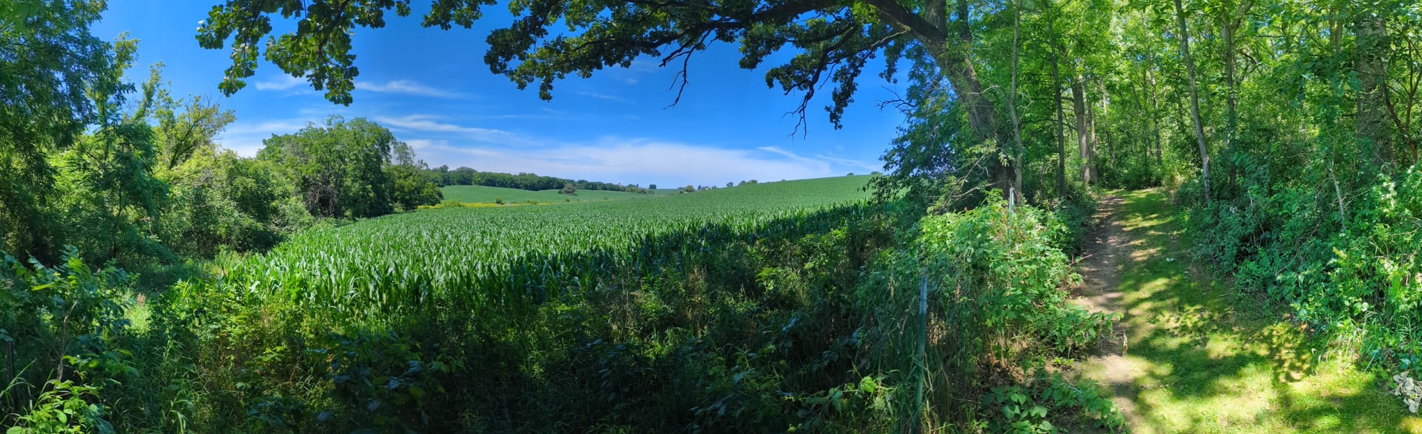 New Glarus Woods Loop Trail Map, Guide Wisconsin AllTrails