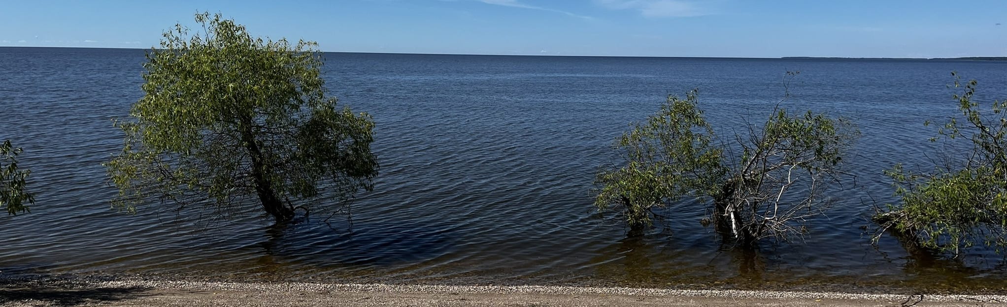 Patricia Beach Randonnée AllTrails