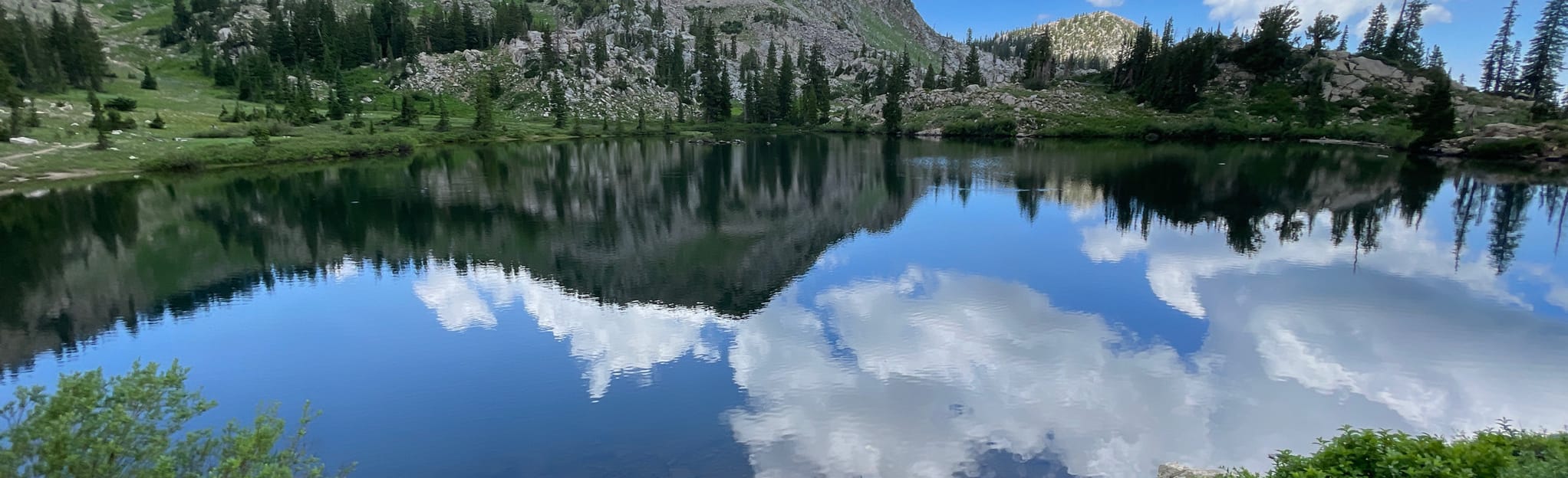 Lake Catherine via Catherine Pass Trail, Utah 585 Reviews, Map