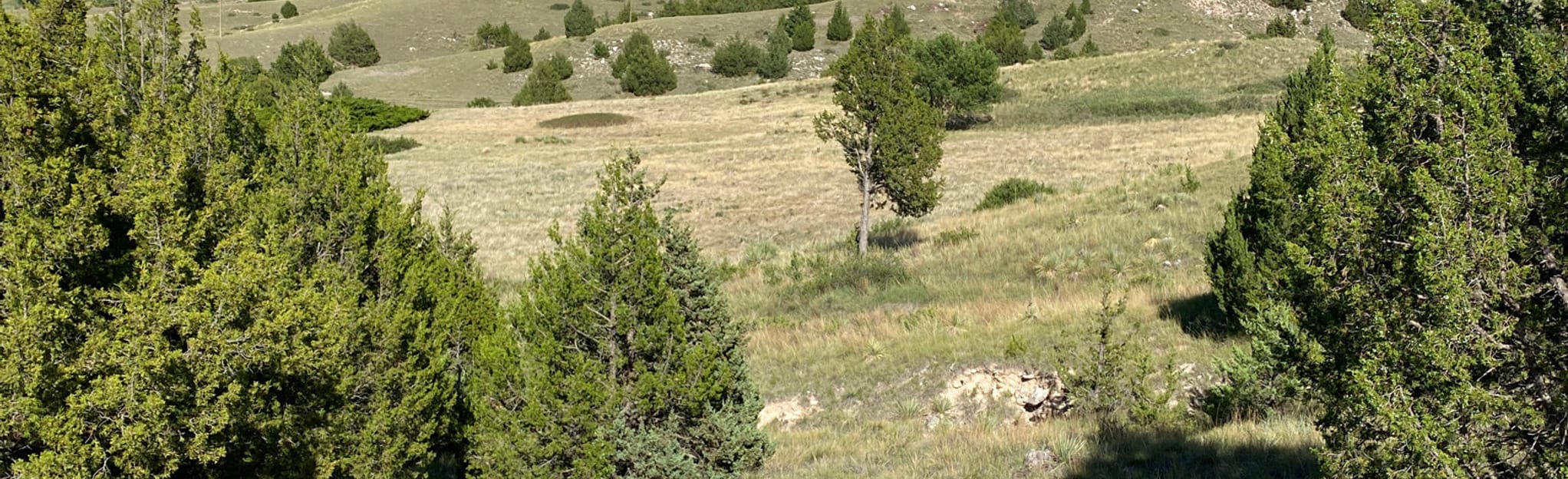 Windlass Hill Trail 39 Reviews, Map Nebraska AllTrails