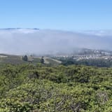 Sweeney Ridge Trail via Sneath Lane, California - 1,047 Reviews, Map ...