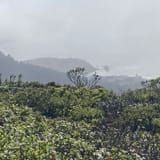 Sweeney Ridge Trail via Sneath Lane, California - 1,047 Reviews, Map ...