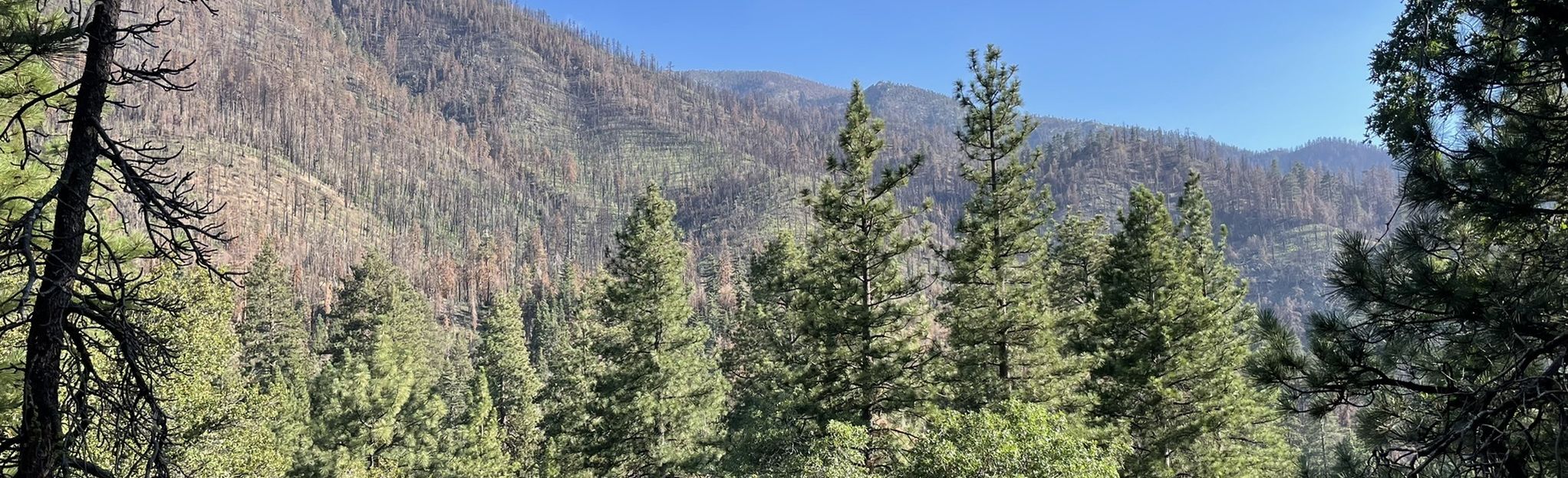 Whispering Pines Nature Trail 52 Reviews, Map California AllTrails