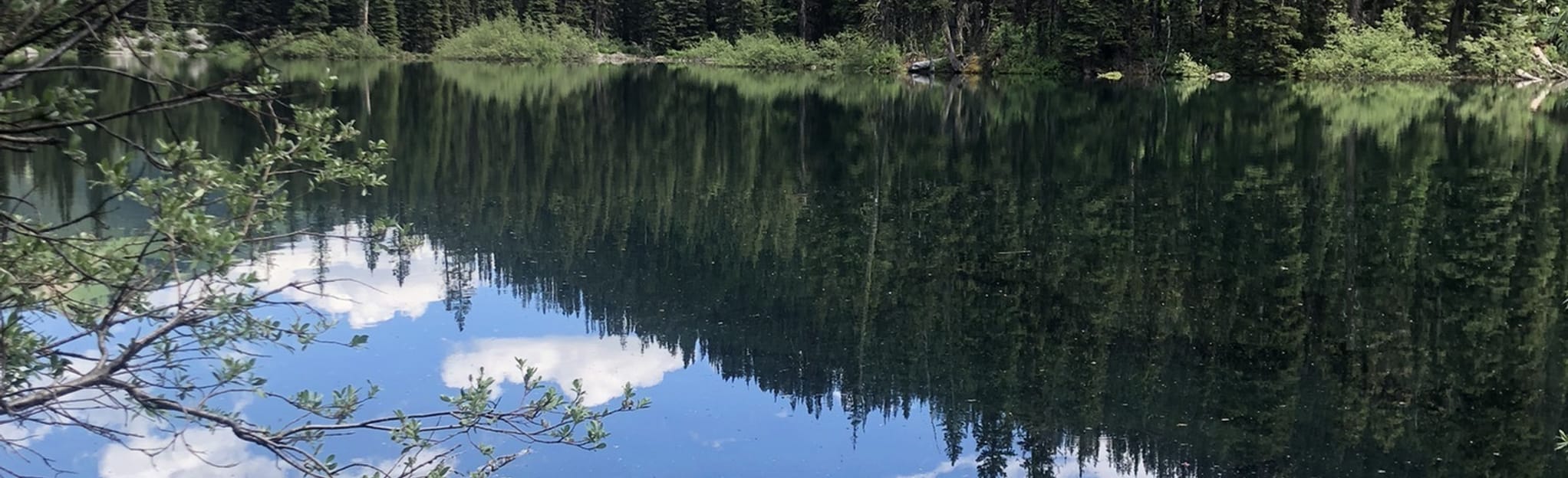 Warspite Lake via Black Prince Cirque Trail Alberta, Canada AllTrails