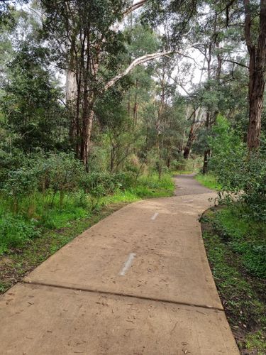 Photos of Torry Burn Reserve, New South Wales, Australia trails | AllTrails