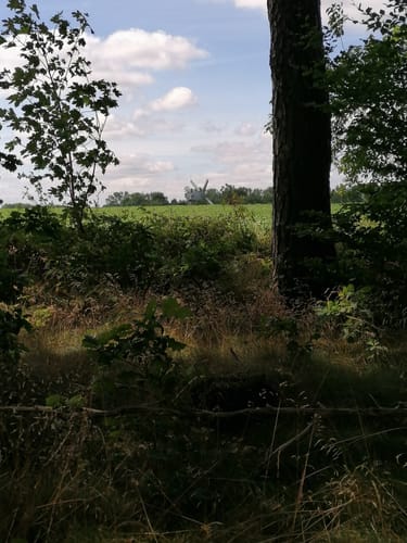 Rund um den Salemer See und Pipersee