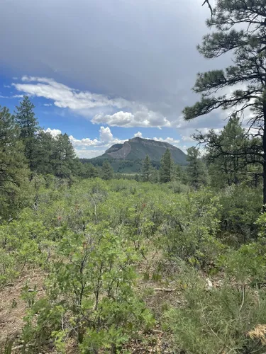 Top 10 Summer Hikes in Durango