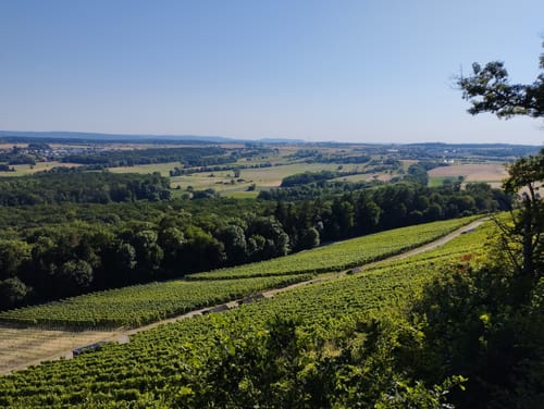 Ispringen - Dürrn - Eichelberg
