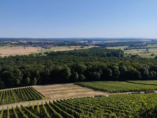Ispringen - Dürrn - Eichelberg