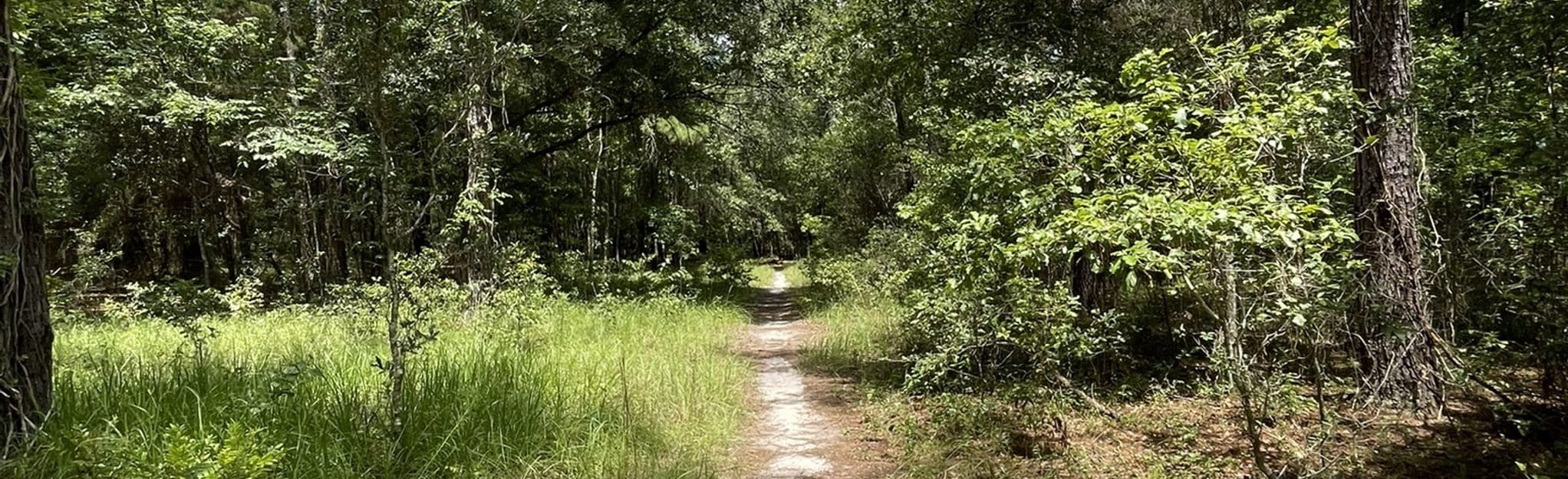 Sweetwater Preserve West Trail, Florida 113 Reviews, Map AllTrails