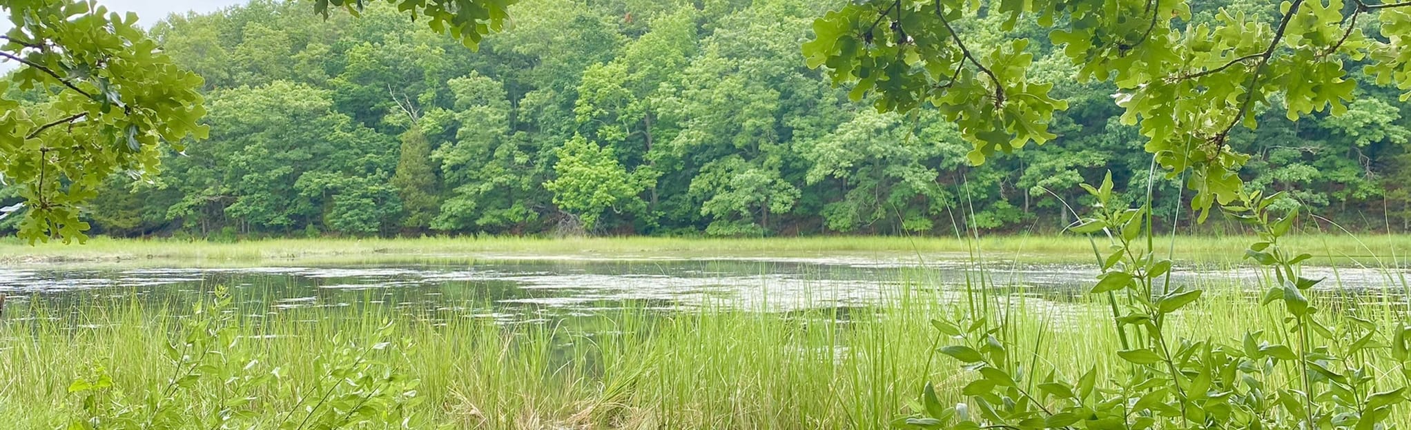 Target Rock National Wildlife Refuge to Hawk Hill and East Beach Map