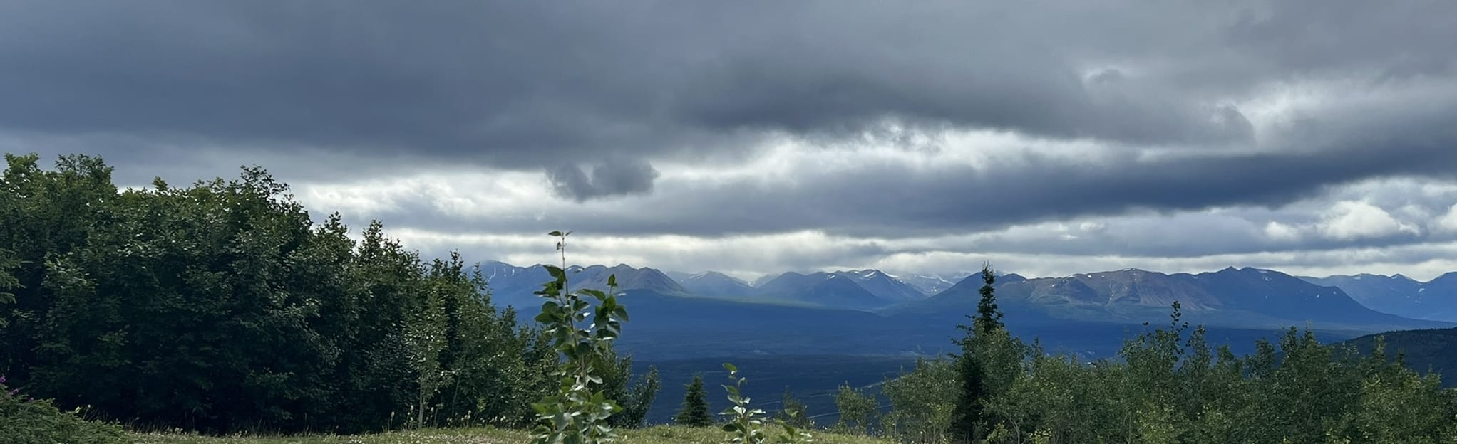 Willow Mountain, Alaska 20 Reviews, Map AllTrails