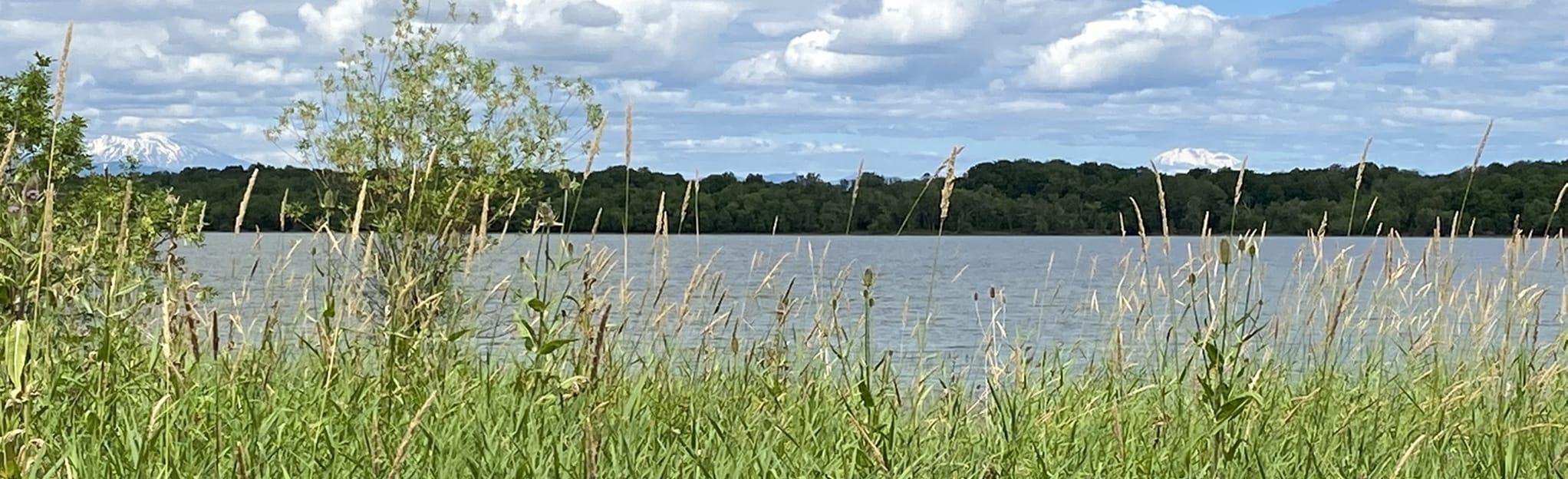 Oak Island Nature Trail 185 foto's Oregon AllTrails